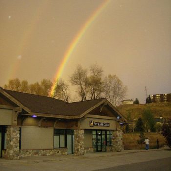 Certified Vet Hospital, 24/7 Emergency, Telemedicine 15 PKC rainbow