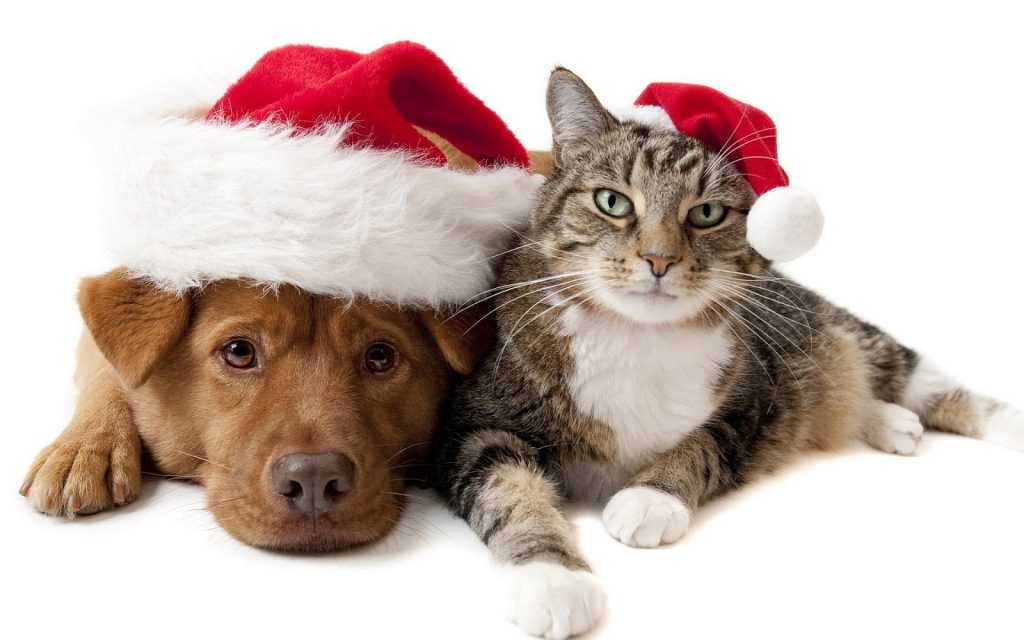Peace Dog and Cat Christmas Free