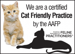 We are a Cat-Friendly Practice! 1