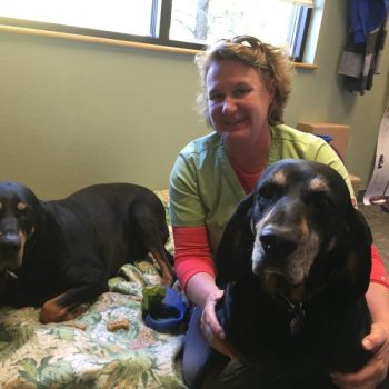 Certified Vet Hospital, 24/7 Emergency, Telemedicine 14 IMG e