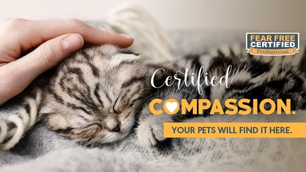 Certified Fear Free Compassion Pet Professional
