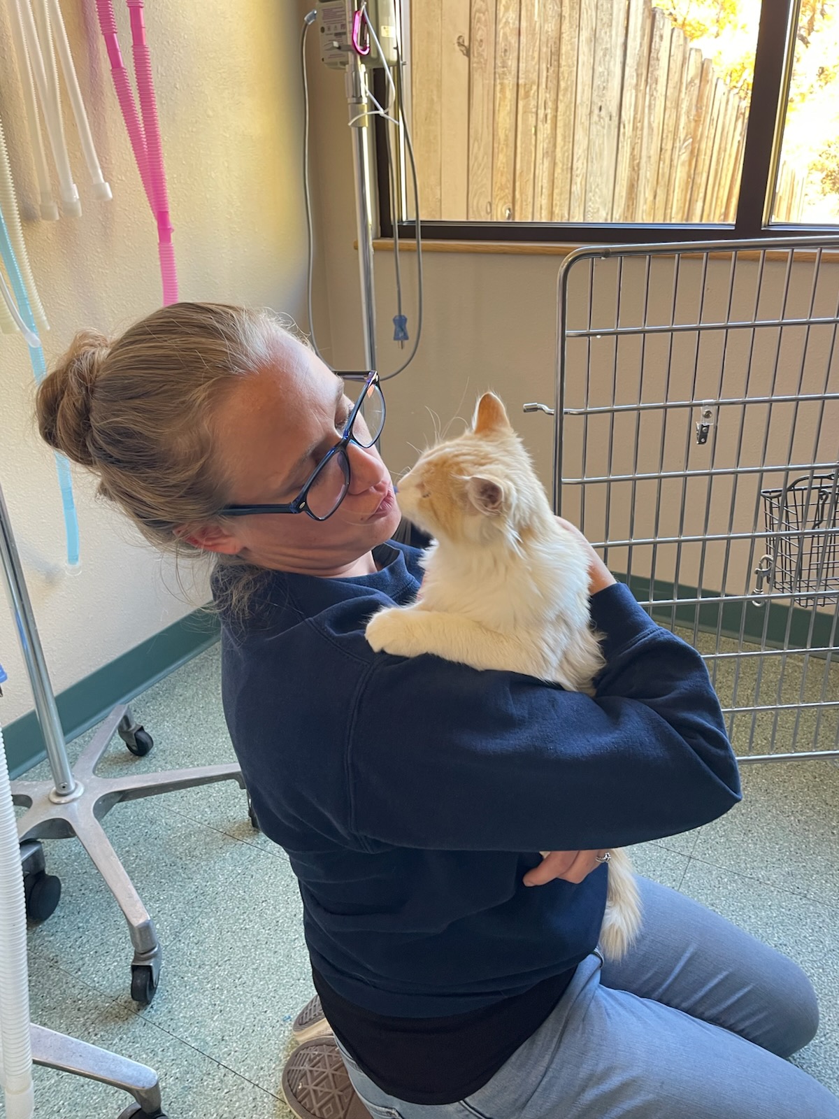 March is for the cats! 50% off feline wellness exam! 5