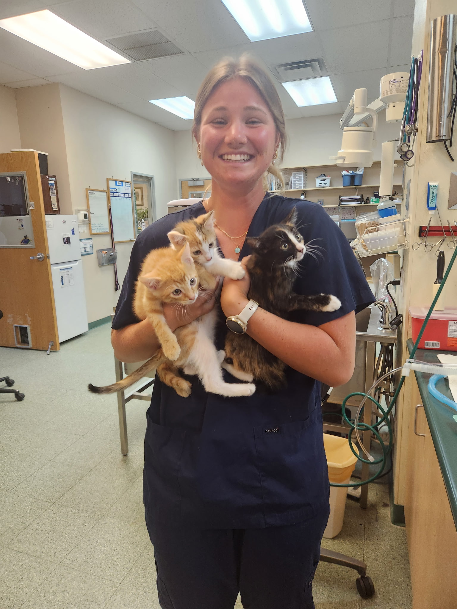 March is for the cats! 50% off feline wellness exam! 1