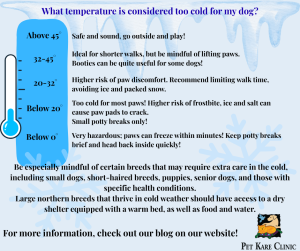 It's cold out there! Tips on keeping your pets warm and comfortable. 2